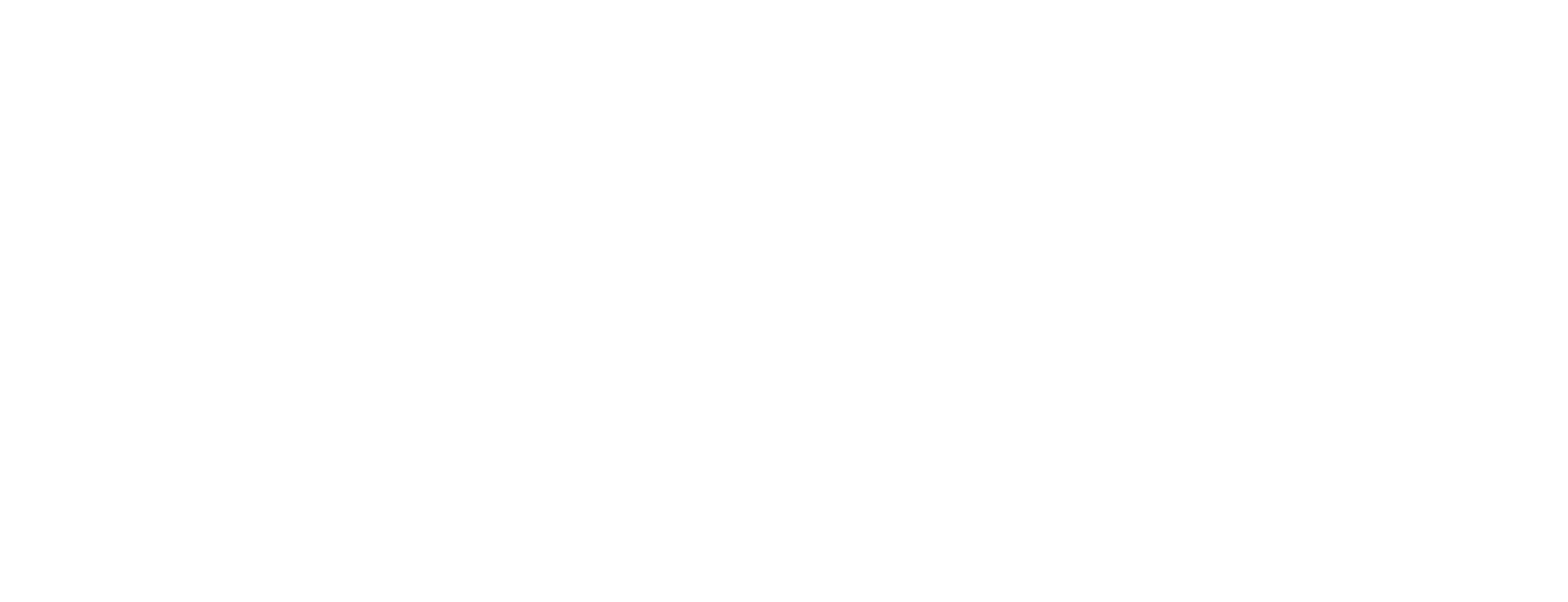 Dexn Dev Logo